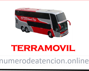 Terramovil Peru Servicios