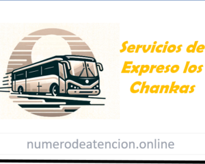 Expreso los chancas servicios